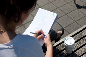 Softwareentwicklerin beim Web-Entwurf